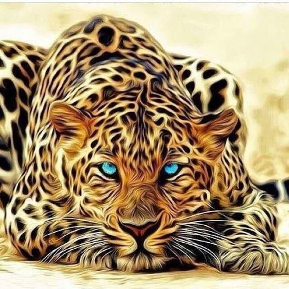 Meet your Posher, Keturah - Picture 1 of 1